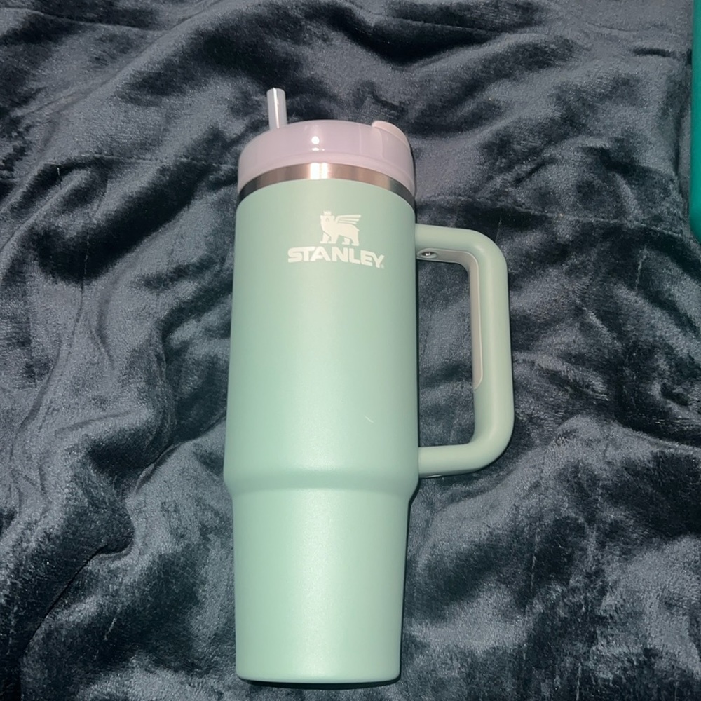 30oz Green Stanley